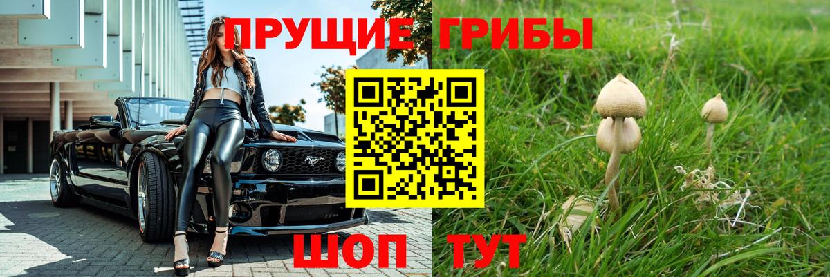 Псилоцибиновые грибы прущие грибы Сухой Лог